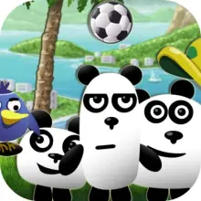 3 Pandas in Brazil