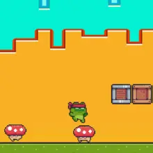 Ninja Frog